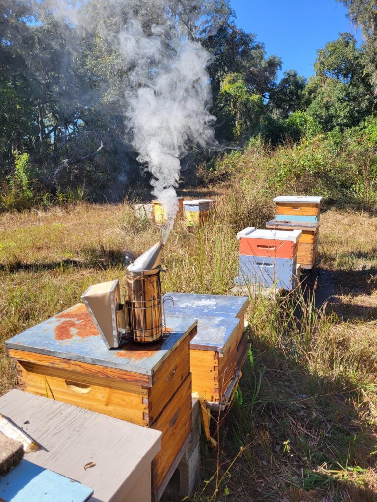 Beekeeping 20251120 110215